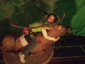CAM00856.jpg